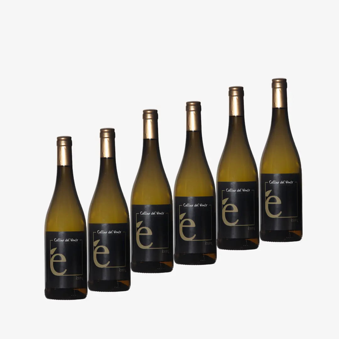 Entu Vermentino Di Sardegna, Vermentino di Sardegna | Box di 6 bottiglie