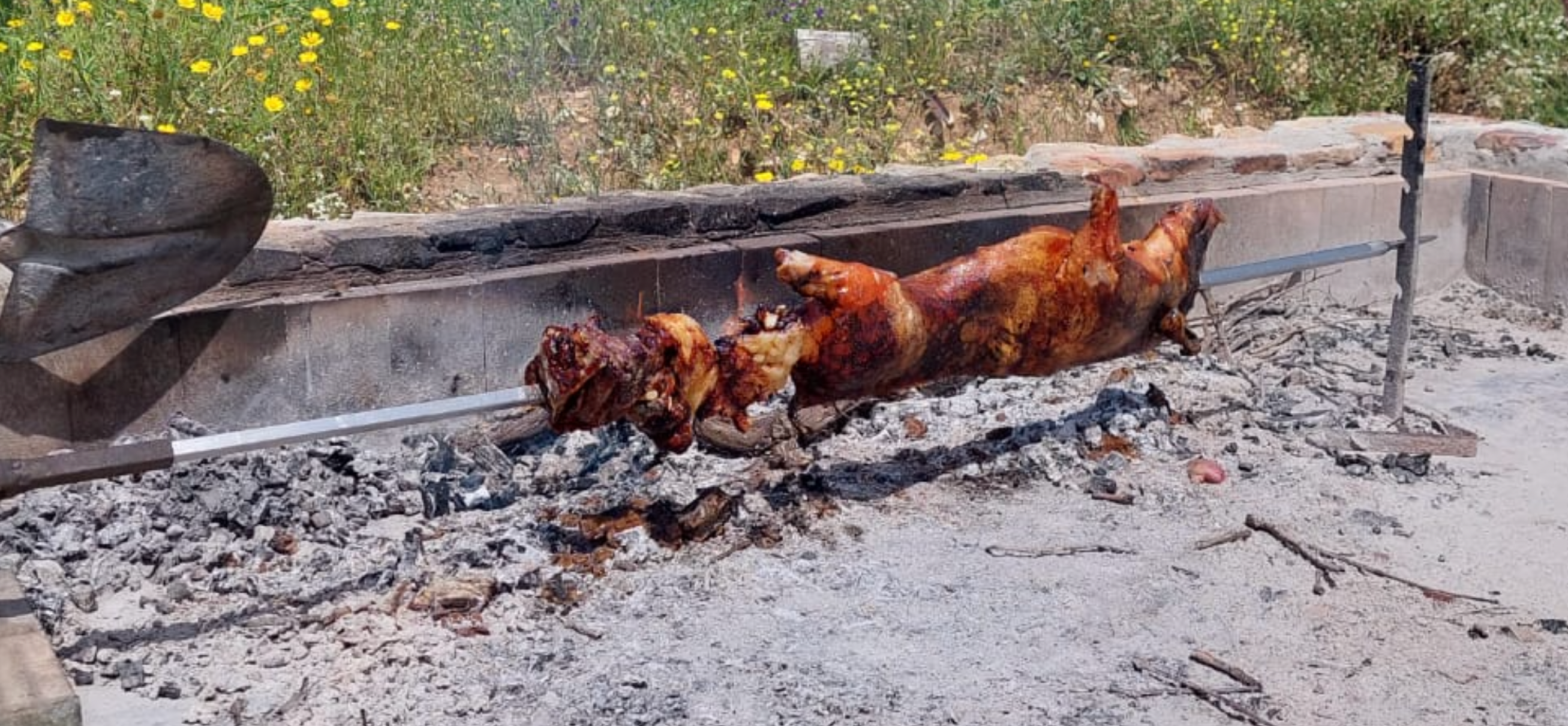 maialetto arrosto allo spiedo in sardegna