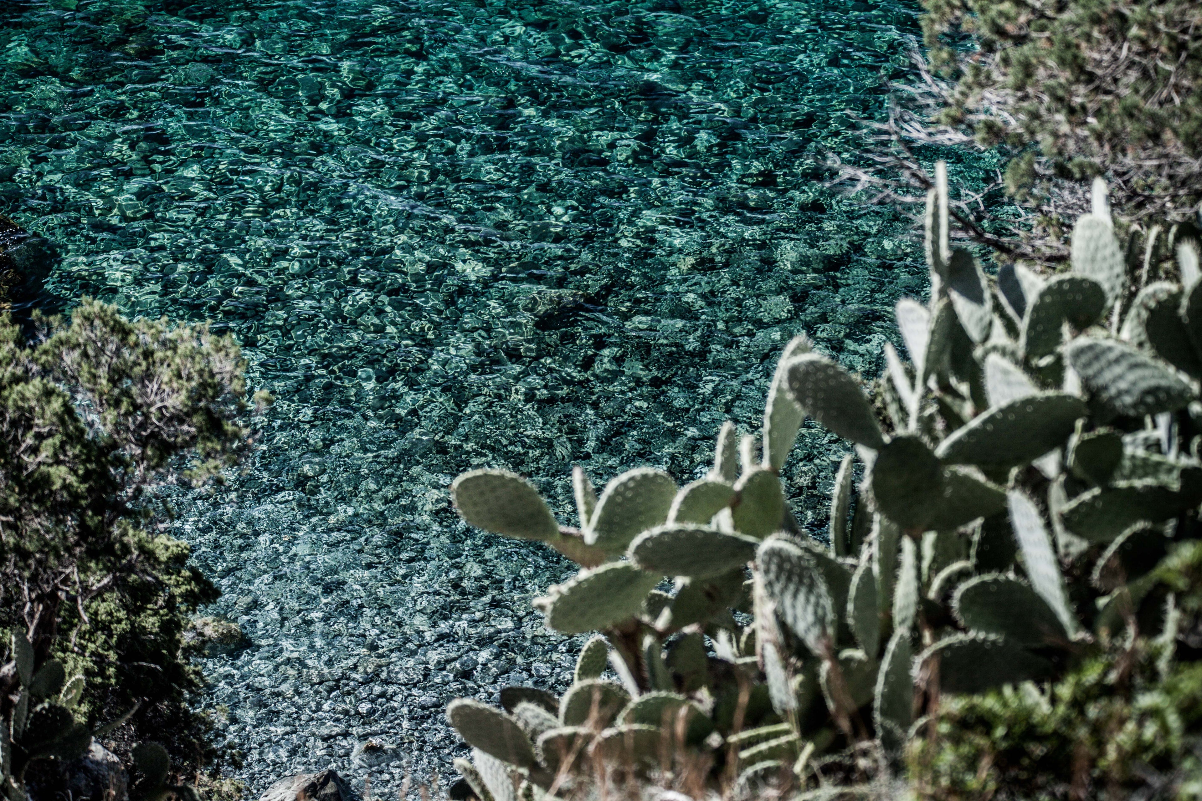 il mare cristallino di Villasimius foto di Luigi Corda