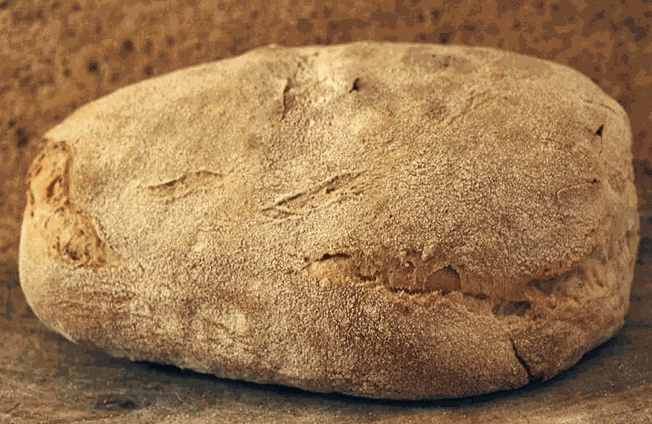 Su Civraxiu pane sardo tipico con crosta spessa e mollica elastica