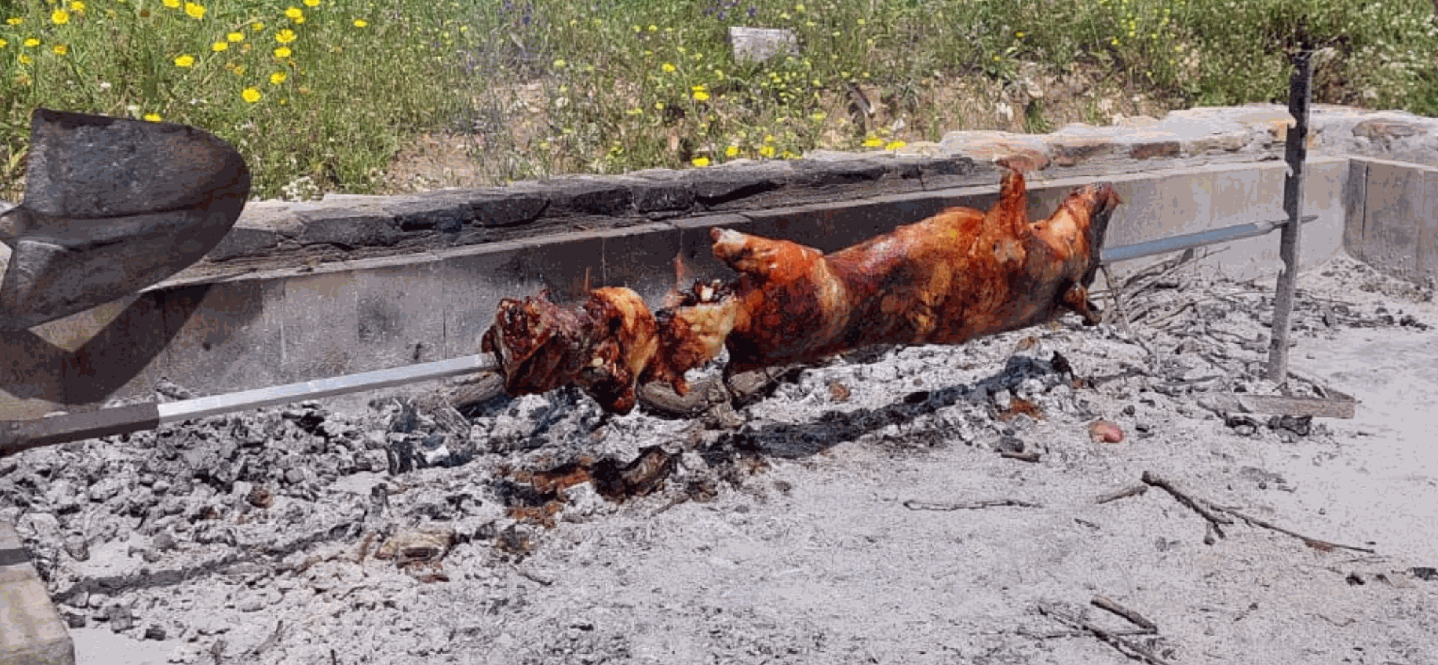 Porceddu sardo arrosto allo spiedo con pelle croccante e carne succulenta