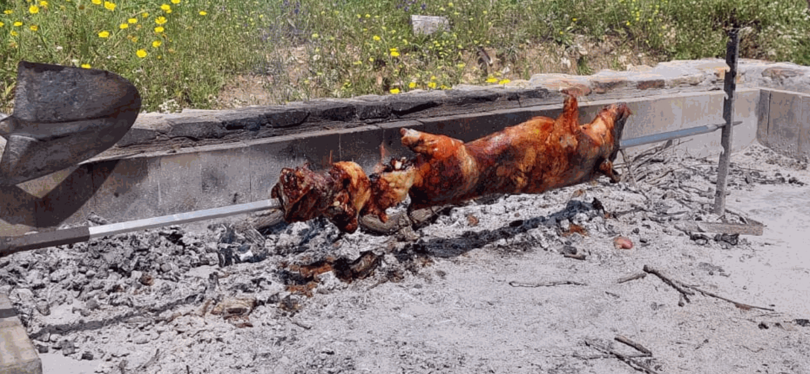 Porceddu sardo arrosto allo spiedo con pelle croccante e carne succulenta