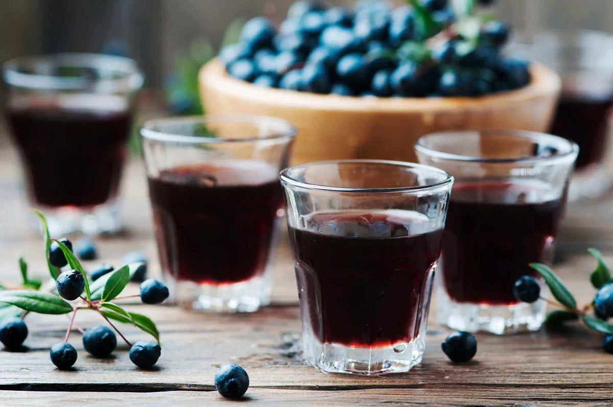 pianta di mirto sardo con bacche e foglie verdi