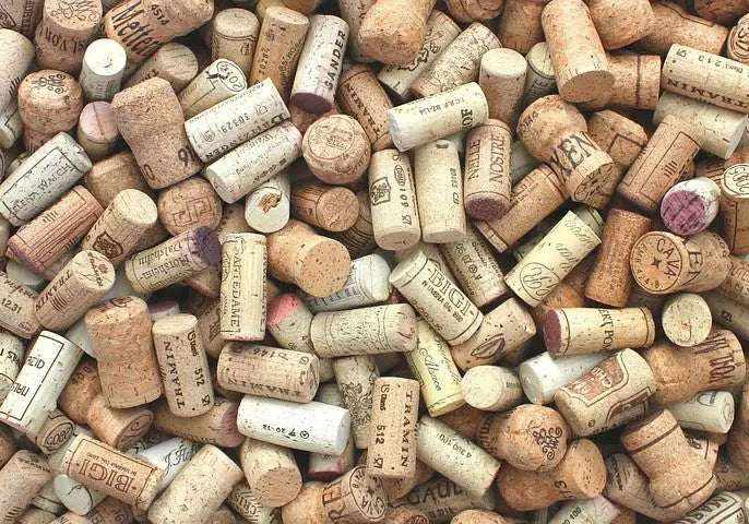 Quercia da sughero in Sardegna con corteccia estratta per la lavorazione del sughero tradizionale