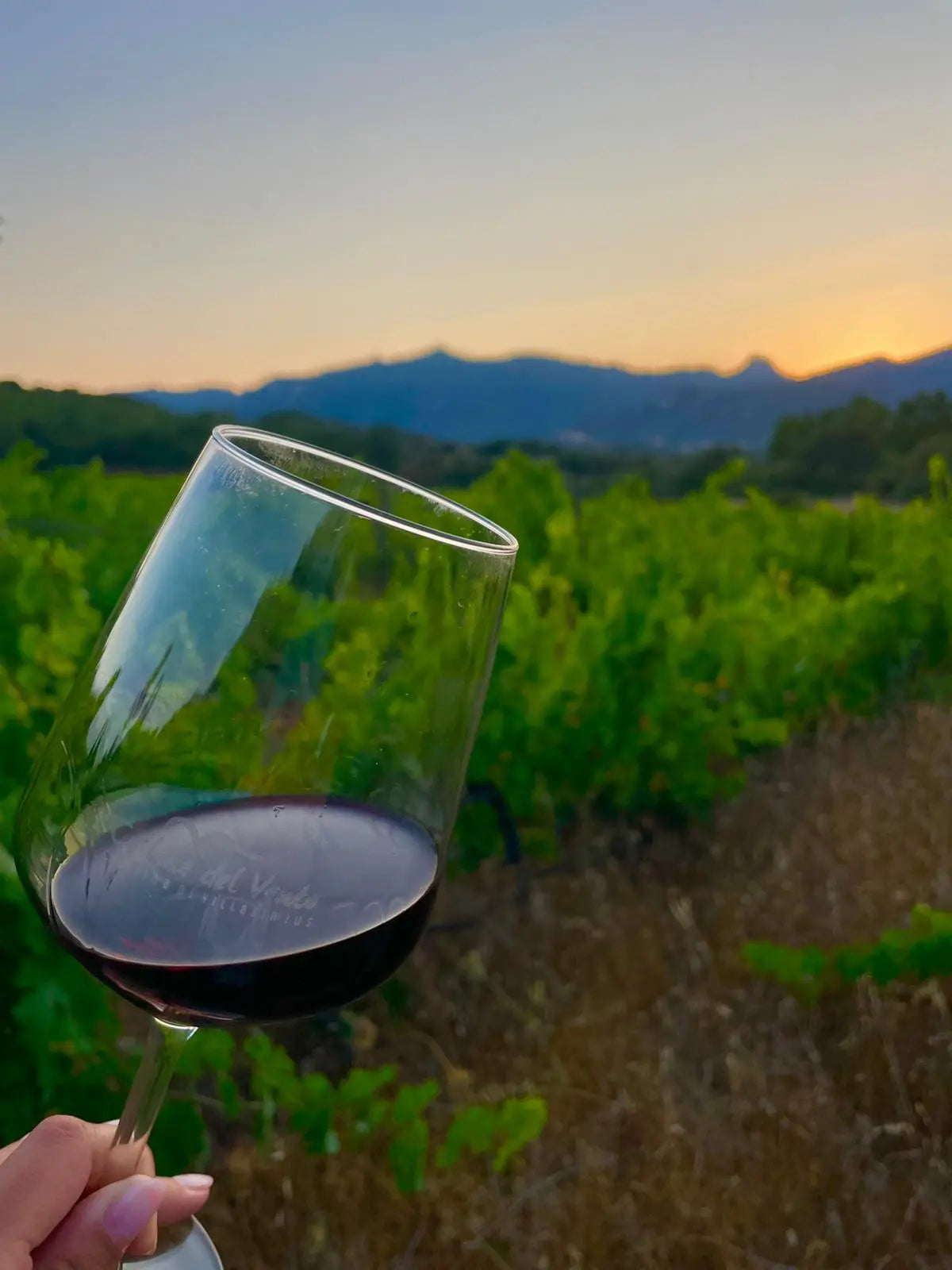 Vini | Colline del Vento | Villasimius | Sardegna