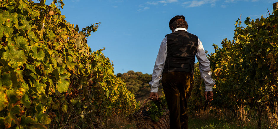 slider image slider_item_VA9iaz