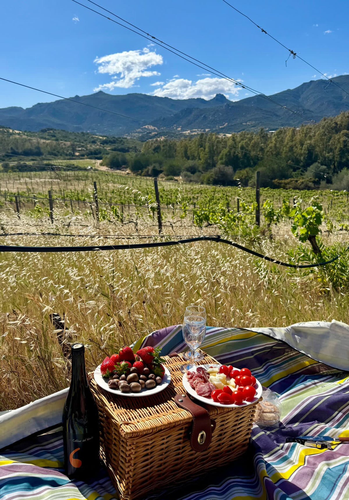 Pic nic in vigna a villasimius 