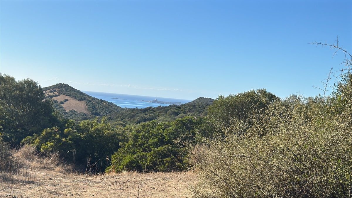 Il sentiero sterrato tra la macchia, con le colline e il mare di Villasimius all'orizzonte